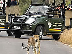 Day Tours&nbsp;into the world renowned Kruger National Park